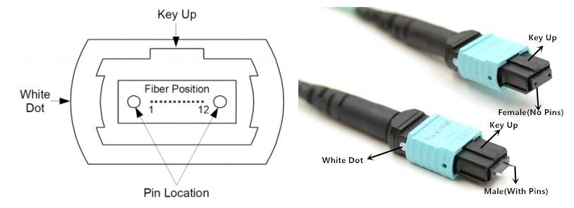 Polarity Method Of MTP/MPO System - Nexconec